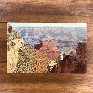 Vintage Arizona Grand Canyon Petley Postcard